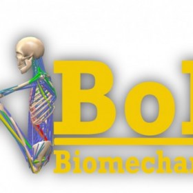 BOB人体生物力学分析软件